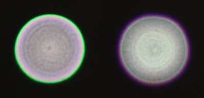 レンズ探求 #13 Contarex Planar 50mm F2 室内比較 : ZEISSレンズとか