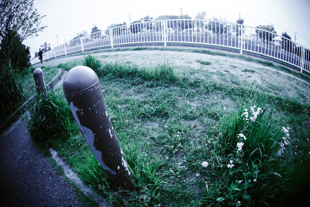 F-Distagon 16mm F2.8 AEG : ZEISSレンズとかなんとか F-Distagon 16mm F2.8 AEG : ZEISSレンズとかなんとか