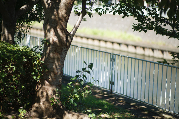 2003