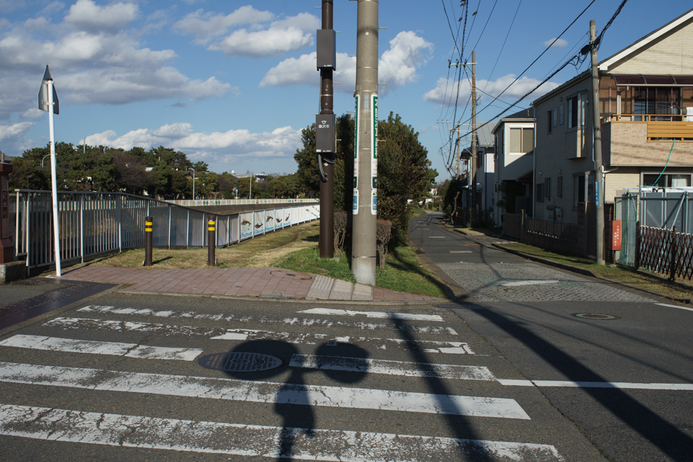 Distagon 35mm F2.8 MMJ Distagon 35mm F1.4 MMJ 比較撮影