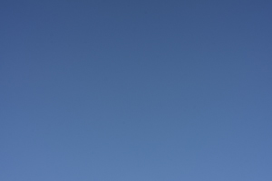 13017