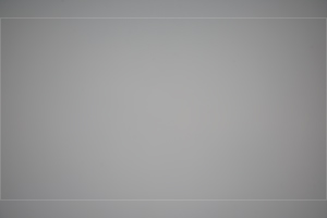 11431