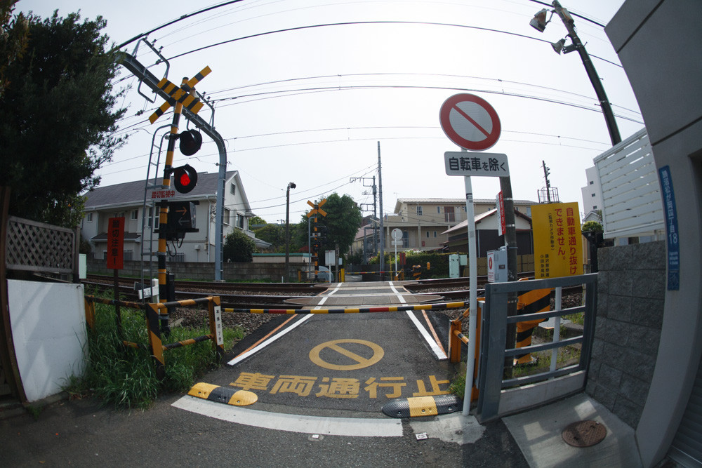 F-Distagon 16mm F2.8 AEG : ZEISSレンズとかなんとか F-Distagon 16mm F2.8 AEG : ZEISSレンズとかなんとか