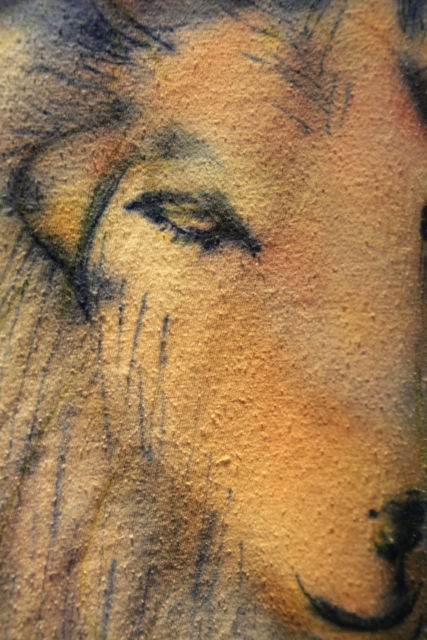 IMG_20002012004030--IMG_