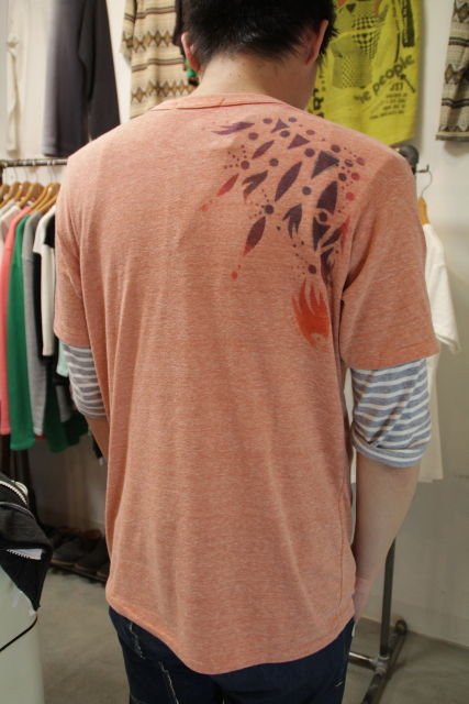 IMG_3723110423b-IMG_