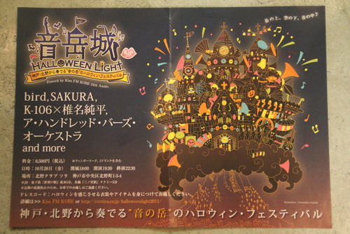 IMG_8576201101020--IMG_