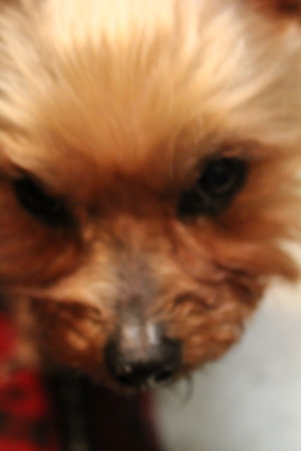 IMG_1420201400000330IMG_