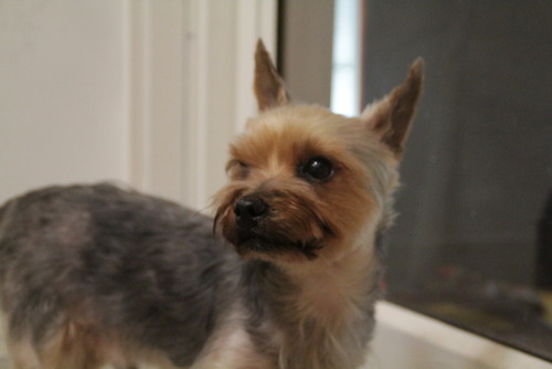 IMG_6763201100727-B-IMG_