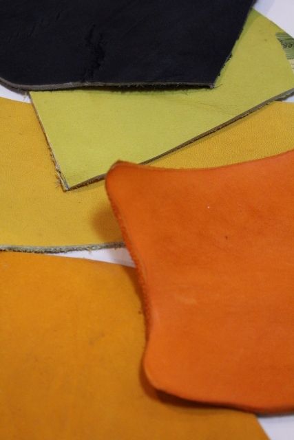 IMG_1029201400002024-IMG_