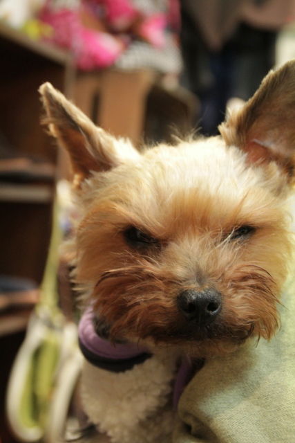 IMG_582320130126--IMG_