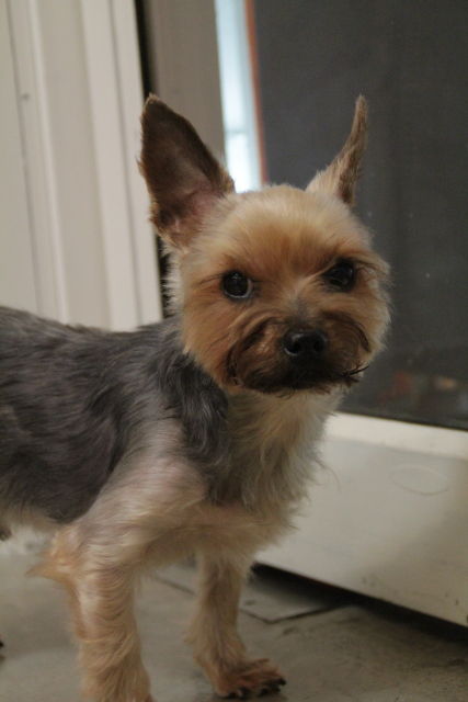 IMG_6772201100727-B-IMG_