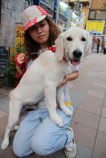 IMG_8255201100926B--IMG_