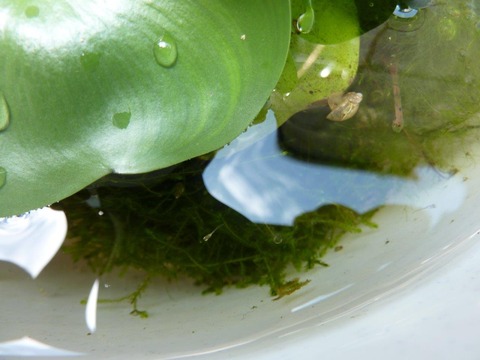 P1060750