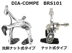 BRS101.3