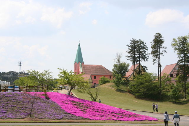 東京ドイツ村の芝桜 くさぶえのみち