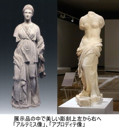 イメージ 11