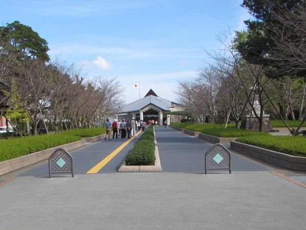 イメージ 5