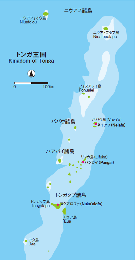 イメージ 8