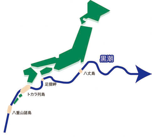 イメージ 6
