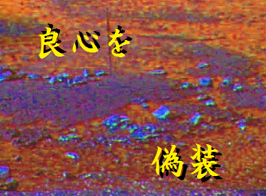 良心を偽装