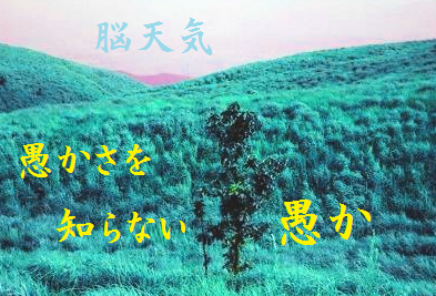 脳天気 愚かさを知らない愚か