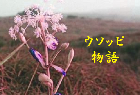 ウソッピ物語