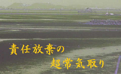 責任放棄の超常気取り