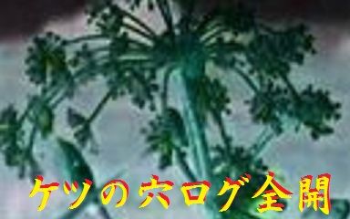 ケツの穴ログ全開