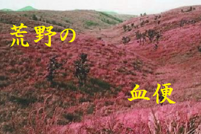 荒野の血便