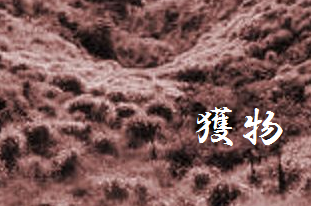 えもの