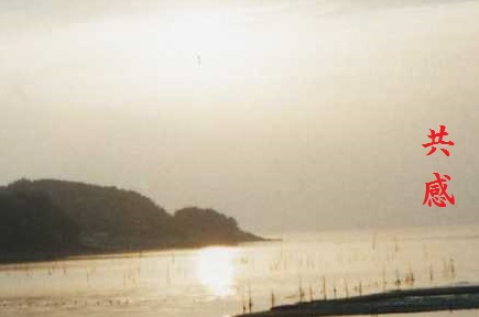 共感