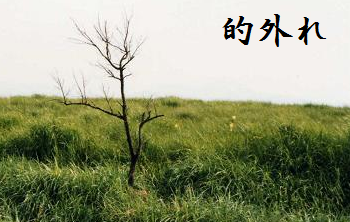 的外れ