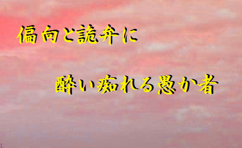 偏向と詭弁に酔い痴れる愚か者