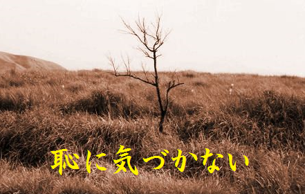 恥に気づかない