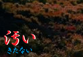 きたない!