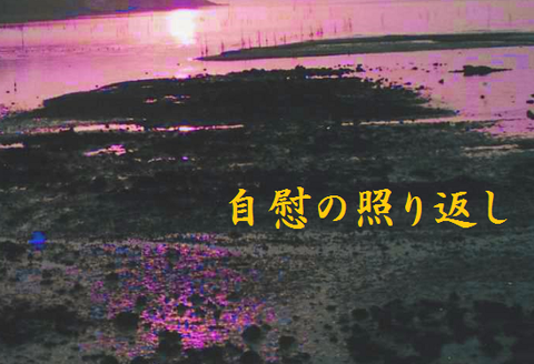 自慰の照り返し