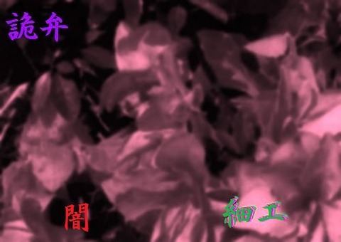 闇の細工