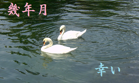 幾年月 幸い