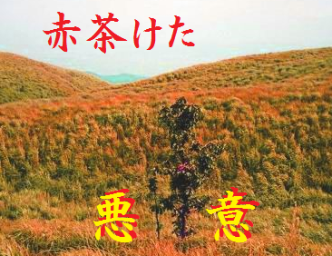 赤茶けた悪意