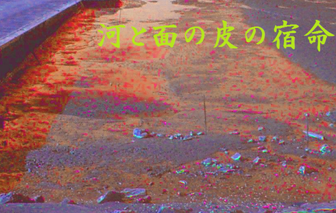 河と面の皮の宿命