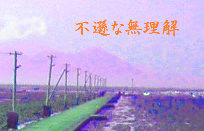 不遜な無理解