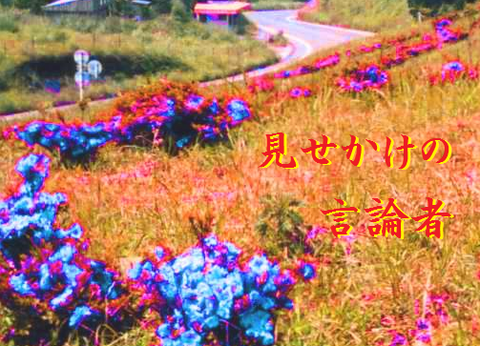見せかけの言論者