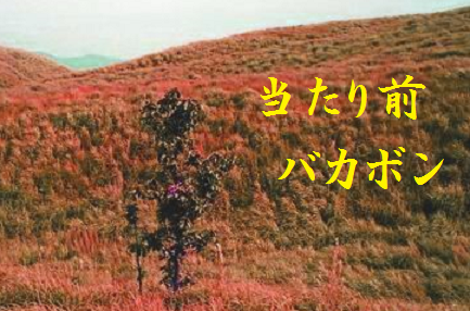 当たり前バカボン