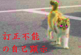 訂正不能の自己顕示