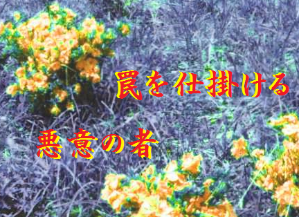 罠を仕掛ける悪意の者