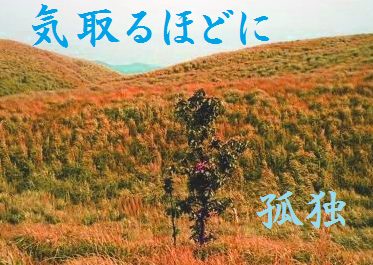 気取るほどに孤独