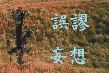 誤謬 妄想