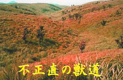 不正直の獣道(けものみち)