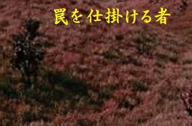 罠を仕掛ける者