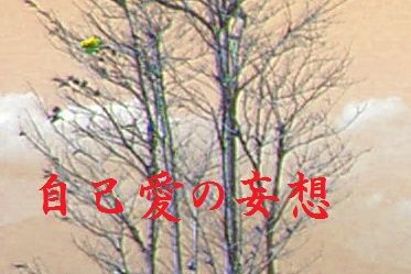 自己愛の妄想